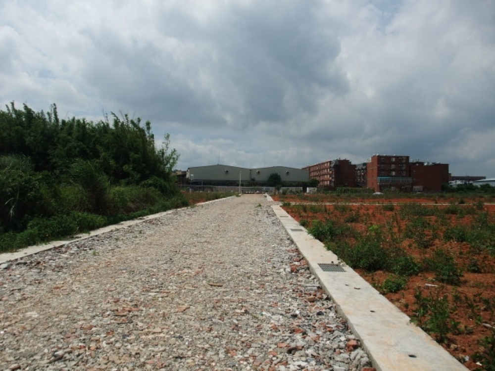 中央大學都內農地(3)
