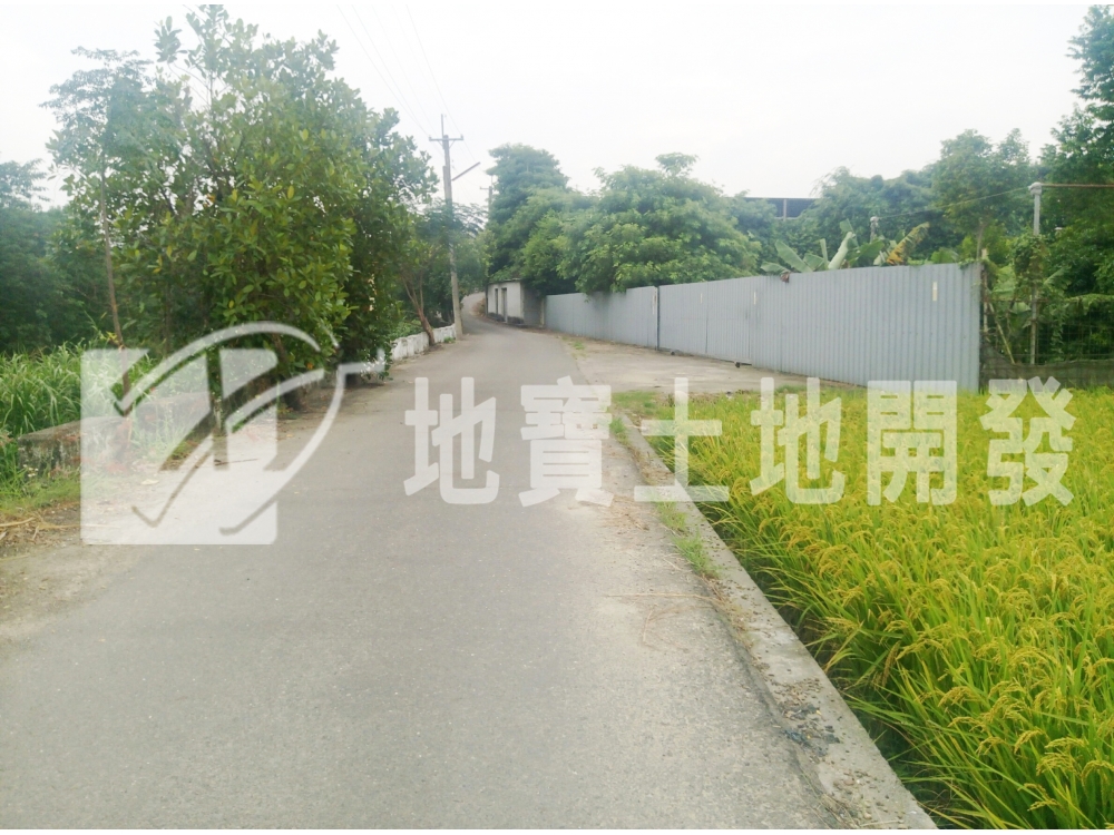 碧興路農地2