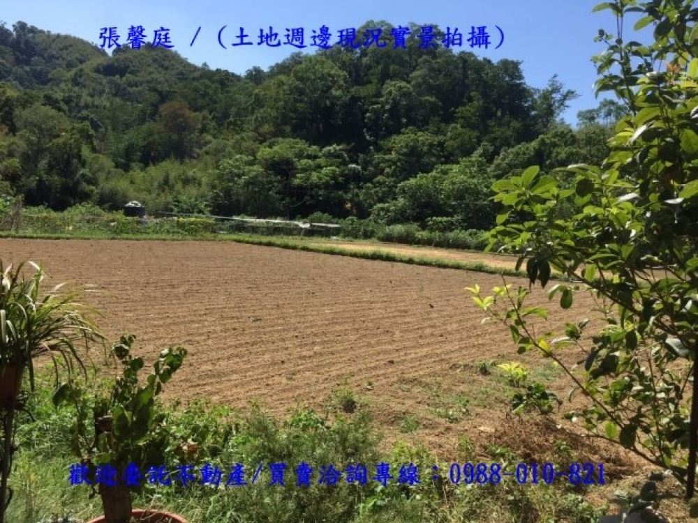 正台三線【買地送屋】1195坪山坡地