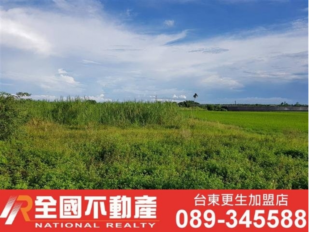 農05-台東市省道1甲農地