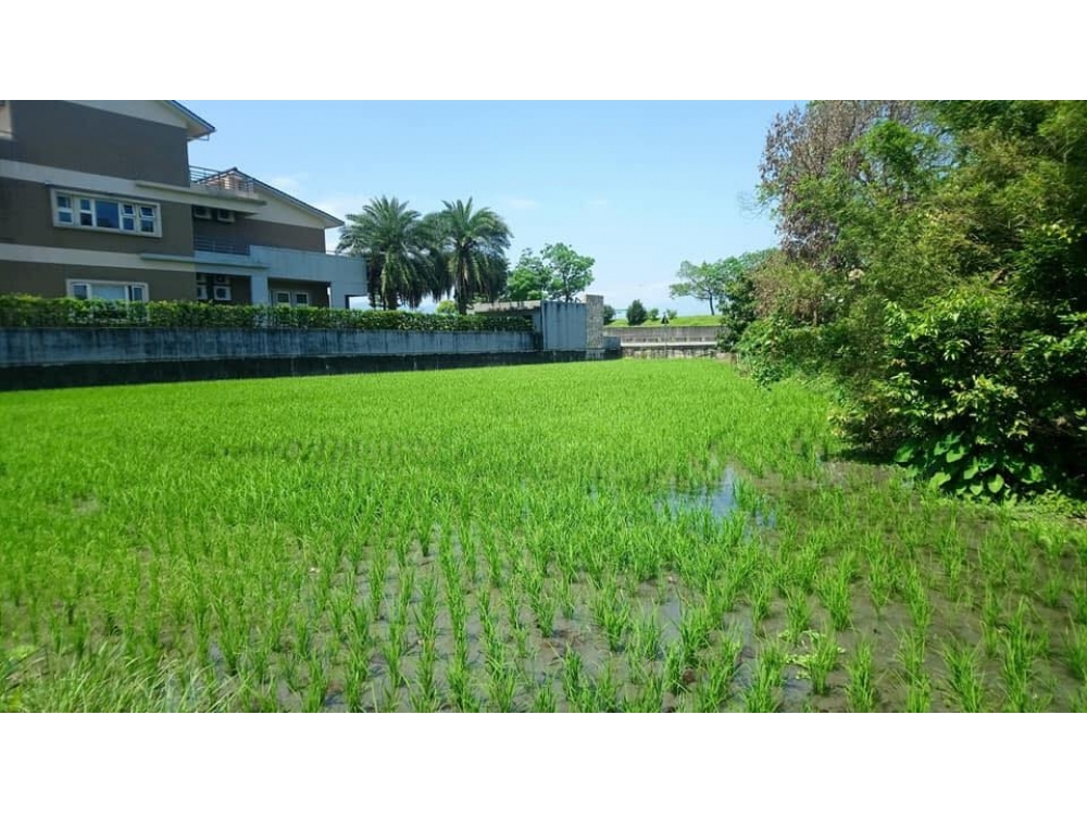 ★（絕版配建）【羅東運動公園旁383農建地】