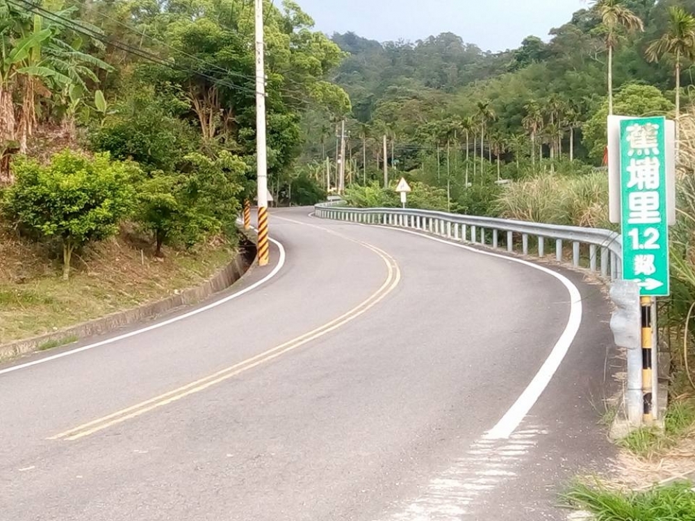 通霄近三義露營林地