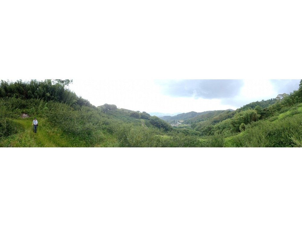 ㄧ坪2400元大湖馬拉邦山景觀地台中買屋賣房,土地王劉志忠
