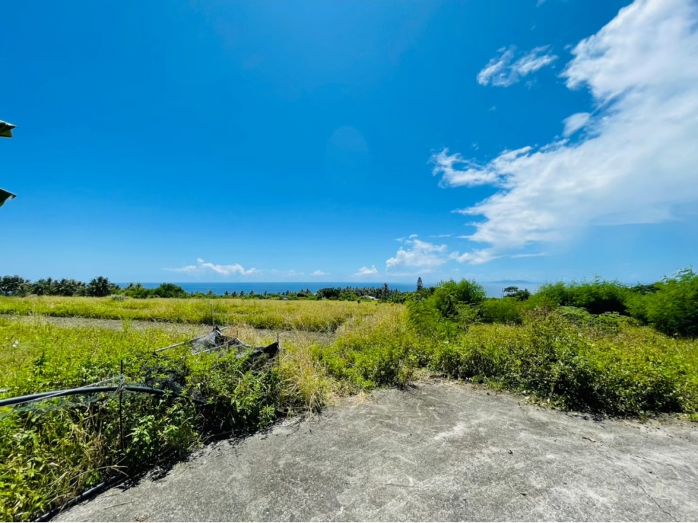 東河鄉 #興隆休閒海景農地