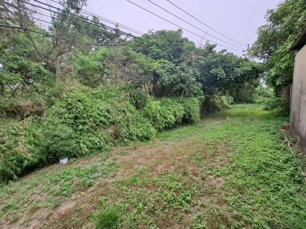 永和山水庫旁休閒地A*-*正路邊進出沒問題