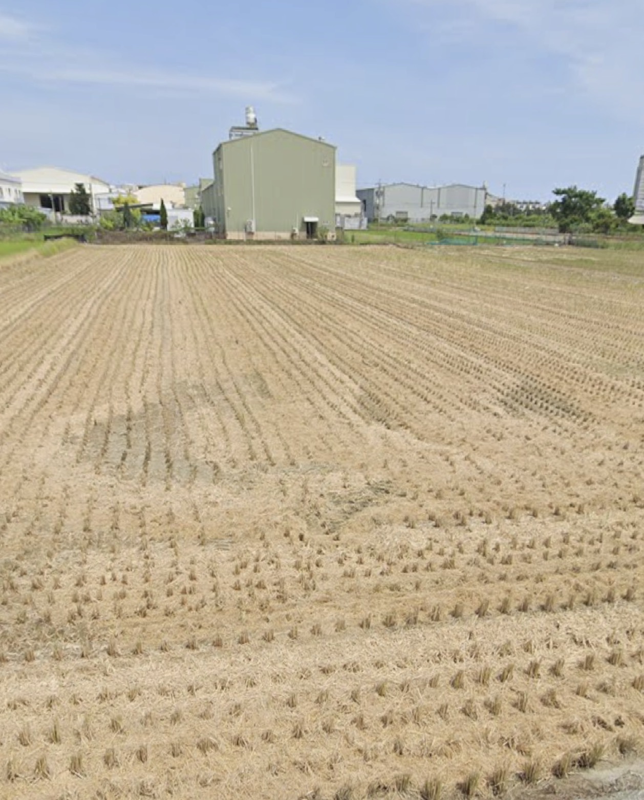 林園102坪農地（陳美鳳）