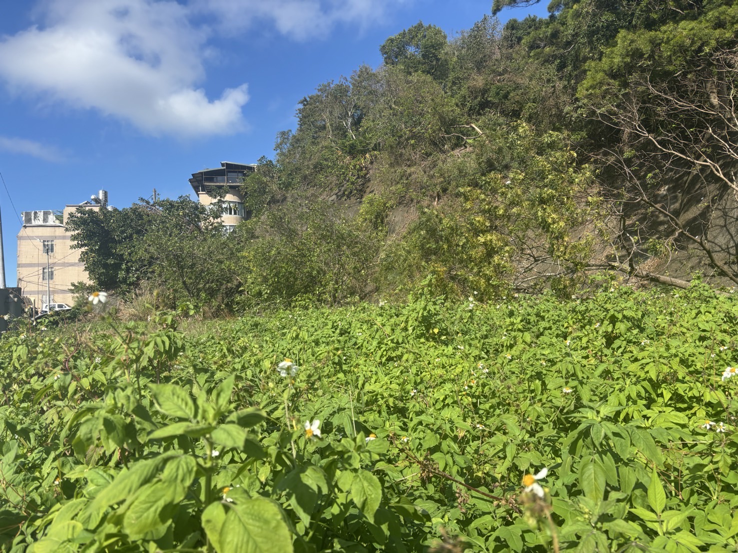 花蓮瑞穗美地
