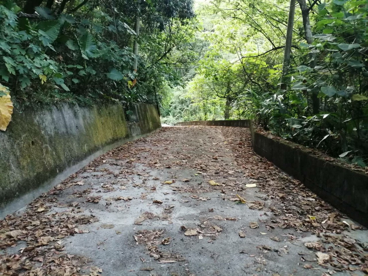 彰化芬園近寶藏寺林地~0980-233766黃秀菁