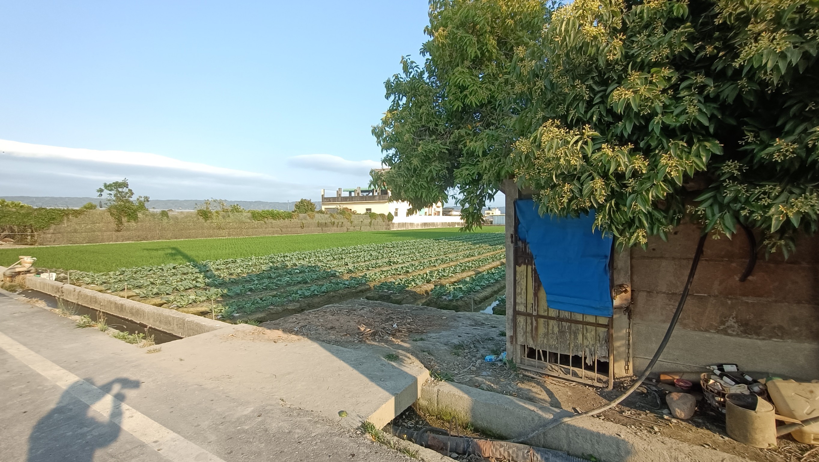 永靖~新莊村美田~0980-233766