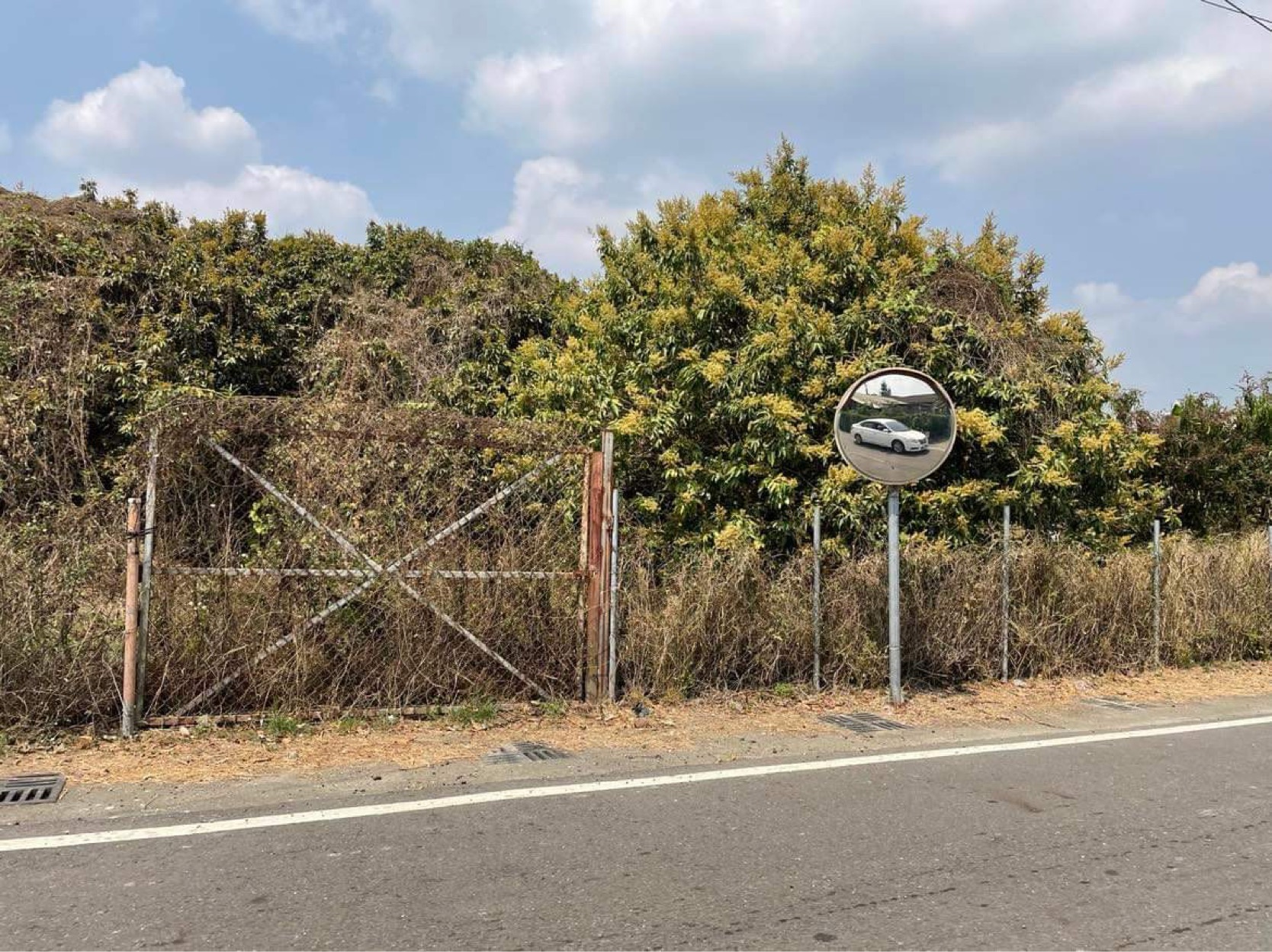 大樹大面寬農地
